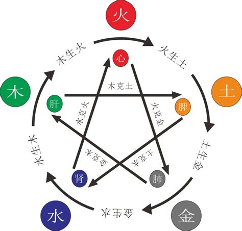 木多金缺|解析：八字木多的人有什么影响？